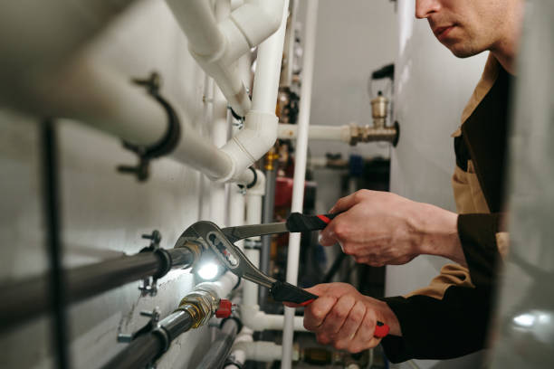 Best Local Plumber Services  in Madison, MN